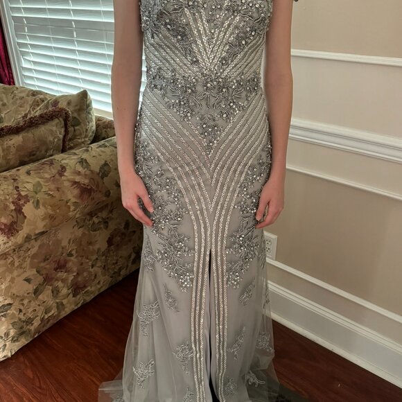 Silver Gown from the Colors Dress Collection at Seng Couture - Picture 5 of 16